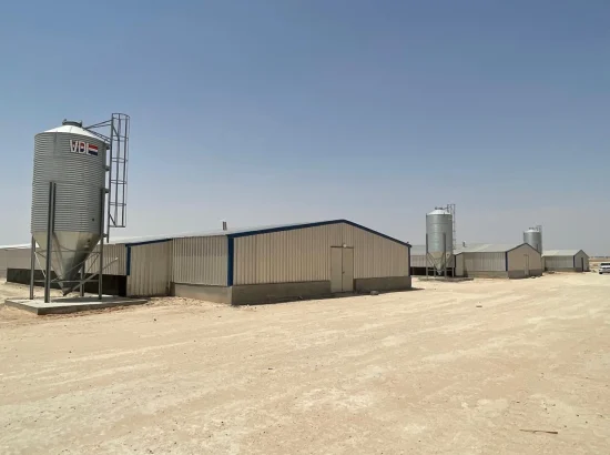 New Project by Cavalo – Barak Al Khalidi | Al Qarya Alulya